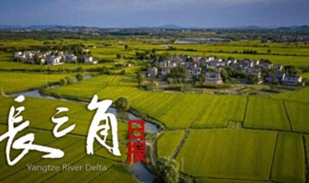 华体会登入-“苏超”赛场“气晕”的小恐龙有IP文创了